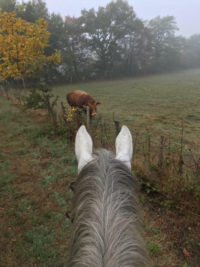 Ferme Gite Equestre En Charente Confolens Esterno foto