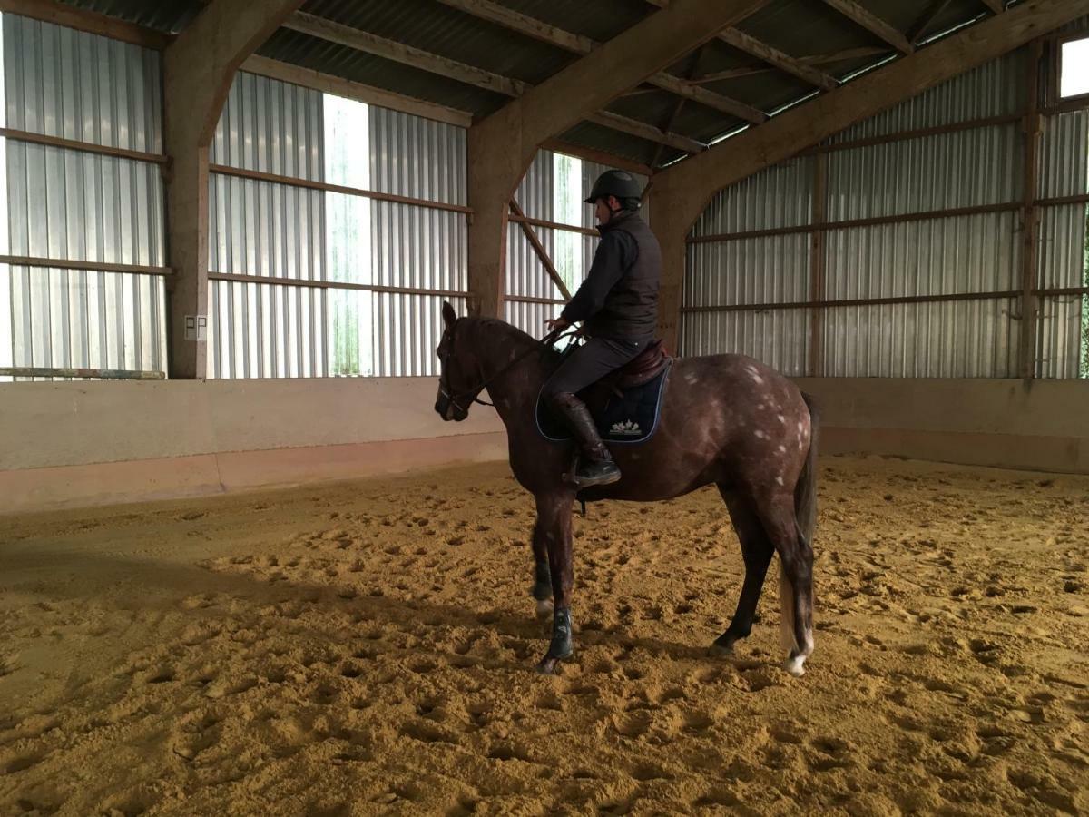 Ferme Gite Equestre En Charente Confolens Esterno foto